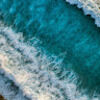 jamesrock8282